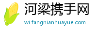 河梁携手网